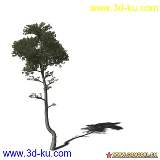 3D打印模型树03的图片