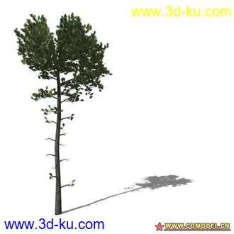 3D打印模型树03的图片