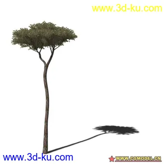 3D打印模型树03的图片