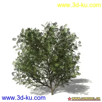 3D打印模型树03的图片