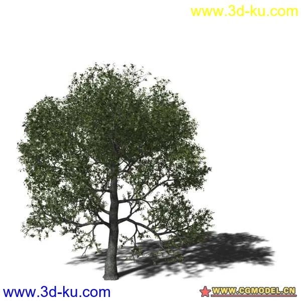 树03模型的图片8