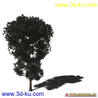 3D打印模型树03的图片