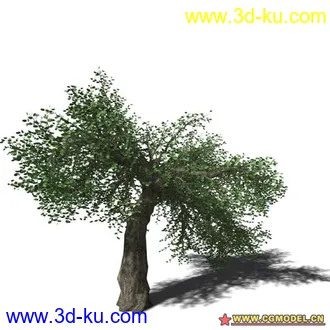 3D打印模型树03的图片