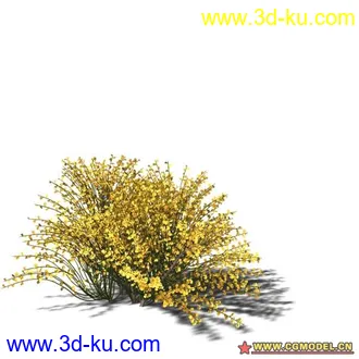 3D打印模型树03的图片