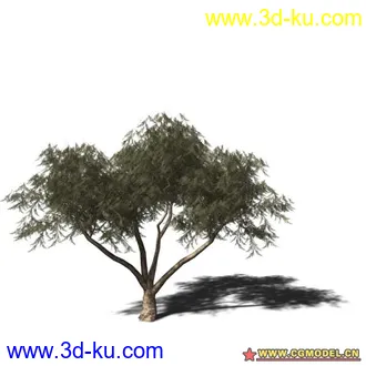 3D打印模型树03的图片