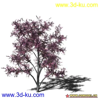 3D打印模型树03的图片