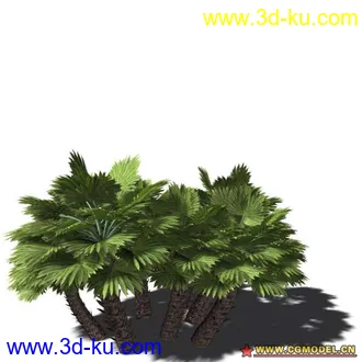 3D打印模型树03的图片