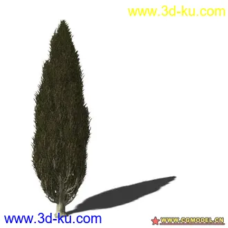 3D打印模型树03的图片