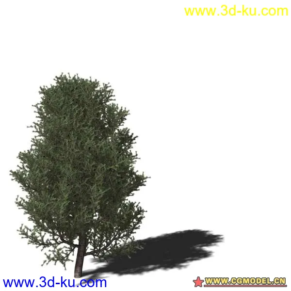 树03模型的图片18
