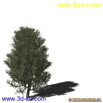 3D打印模型树03的图片