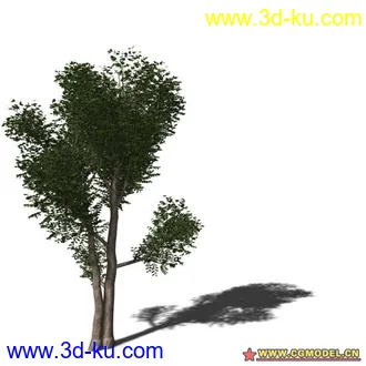 3D打印模型树03的图片