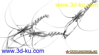3D打印模型虾的图片