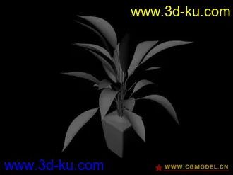 3D打印模型花03的图片