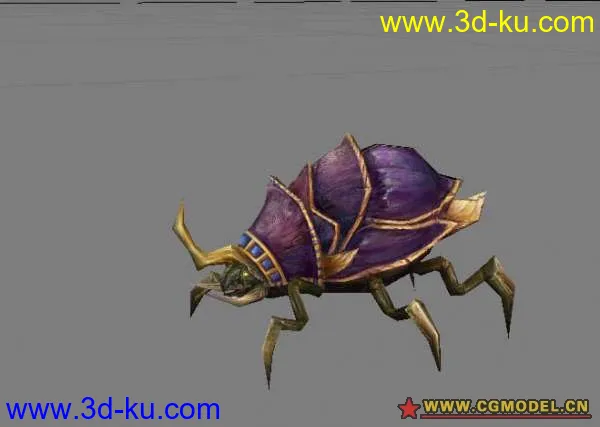 甲虫模型的图片1
