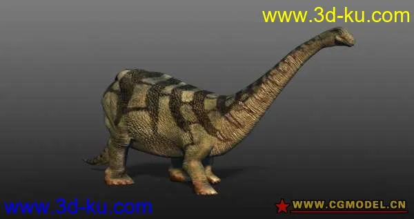 恐龙模型的图片2
