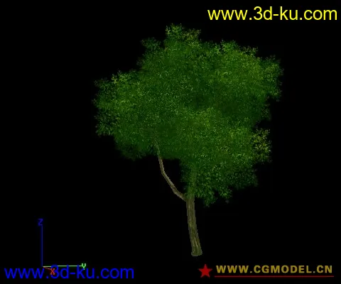 树木模型的图片6