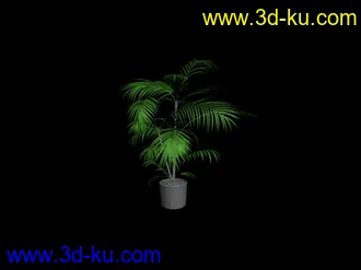 15个盆栽 模型的图片