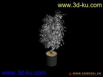 15个盆栽 模型的图片