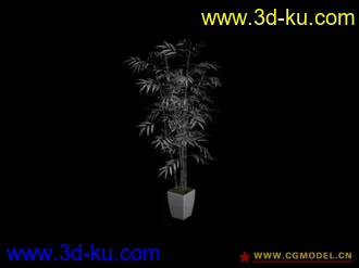 15个盆栽 模型的图片