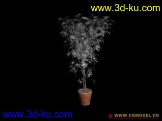 15个盆栽 模型的图片