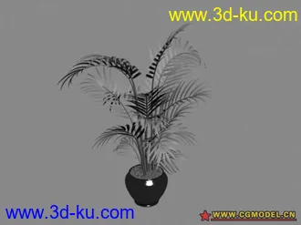 15个盆栽 模型的图片