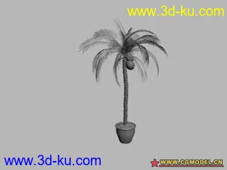 15个盆栽 模型的图片