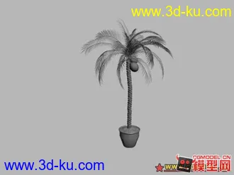 15个盆栽 模型的图片