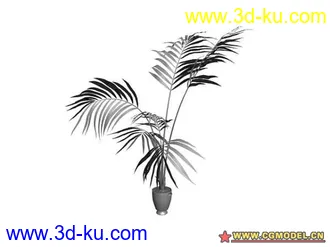 15个盆栽 模型的图片