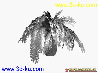 15个盆栽 模型的图片