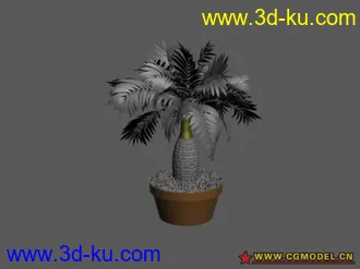 15个盆栽 模型的图片