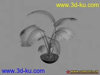 15个盆栽 模型的图片