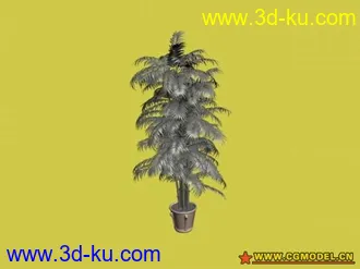 15个盆栽 模型的图片