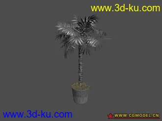 15个盆栽 模型的图片