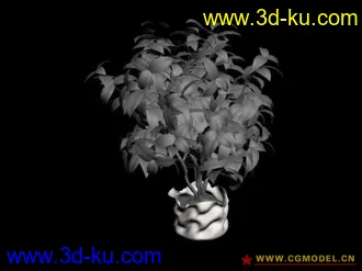 15个盆栽 模型的图片