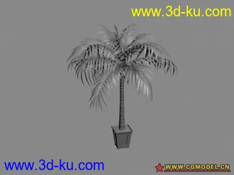 15个盆栽 模型的图片