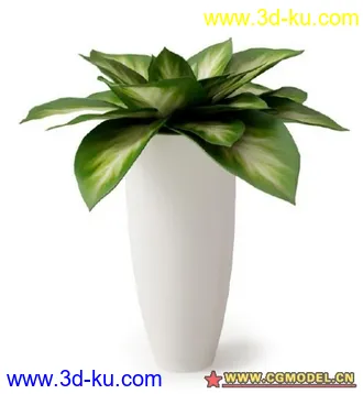 植物模型的图片