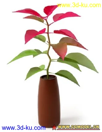 植物模型的图片