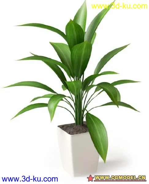 植物模型的图片1
