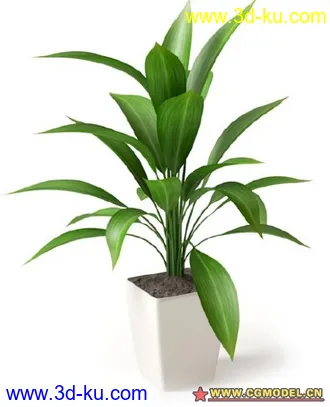 植物模型的图片