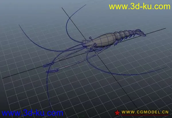 基围虾模型的图片1