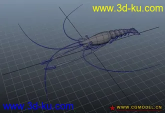 3D打印模型基围虾的图片