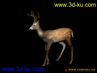 3D打印模型梅花鹿的图片