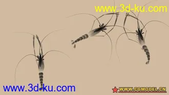 虾  模型 材质的图片