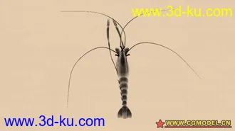 虾  模型 材质的图片