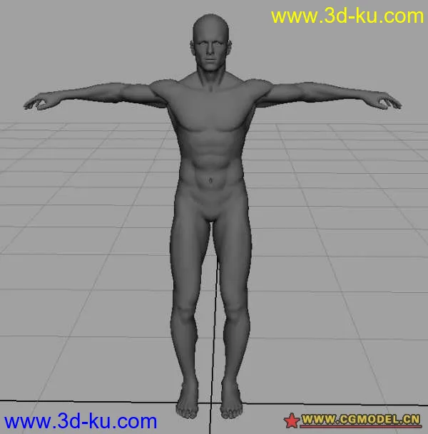 男人体...模型的图片1