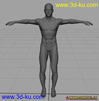 3D打印模型男人体...的图片