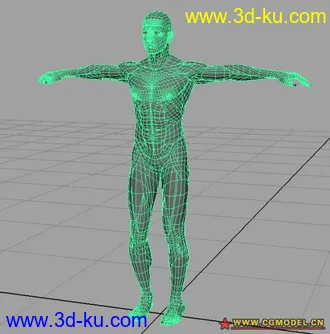3D打印模型男人体...的图片