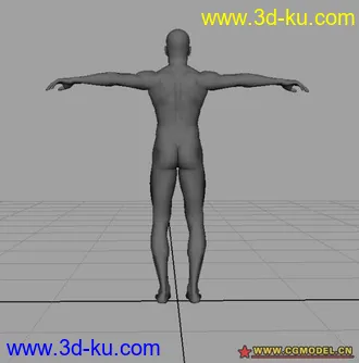 3D打印模型男人体...的图片