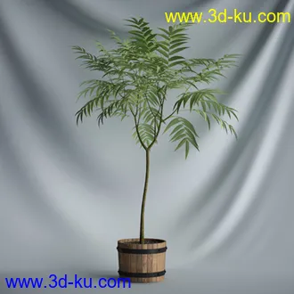 盆景模型,盆栽模型,鲜花模型,花瓶模型,玫瑰,仙人掌,百合等模型20个的图片3