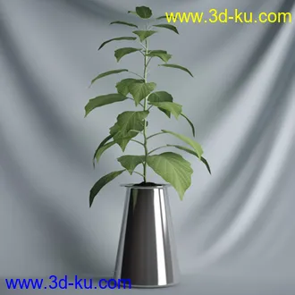 盆景模型,盆栽模型,鲜花模型,花瓶模型,玫瑰,仙人掌,百合等模型20个的图片5